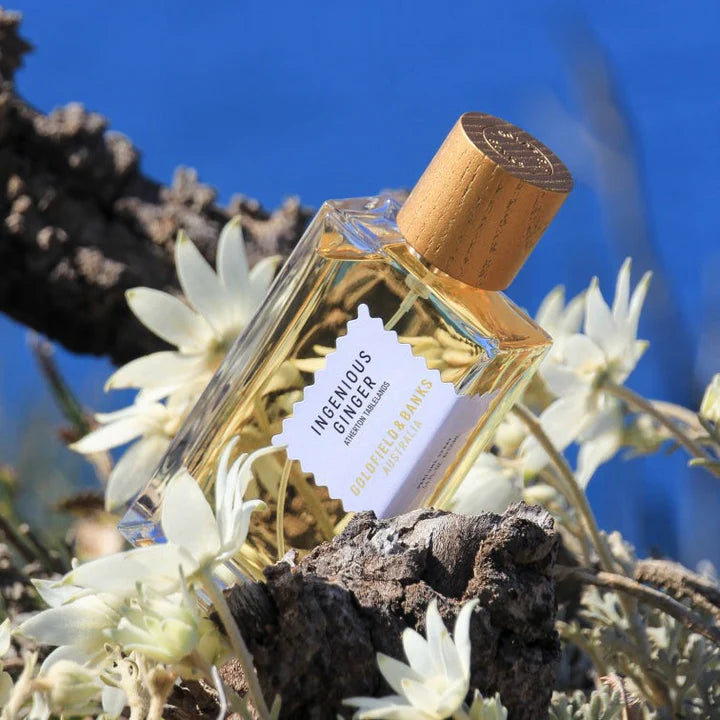Goldfield & Banks Ingenious Ginger