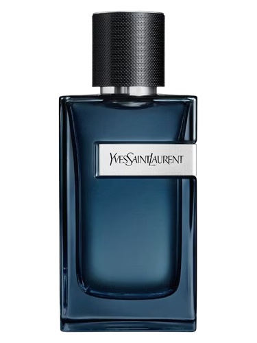 Yves Saint Laurent Intense